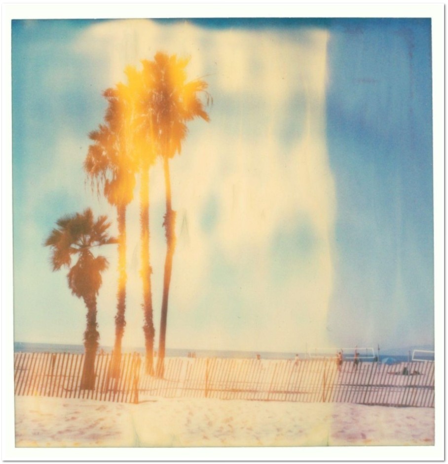 Stefanie Schneider Santa Monica Palm Trees