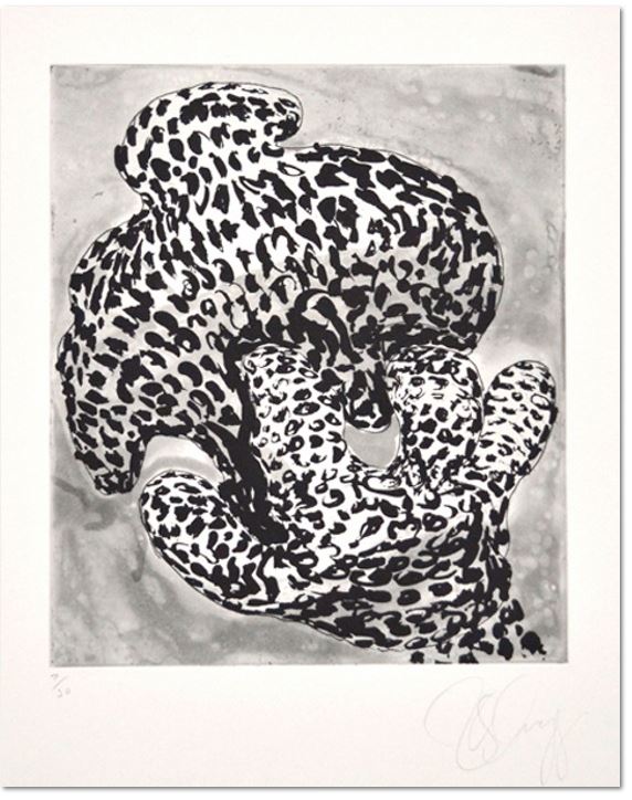 Tony Cragg, Forminifera 1, 2000 - Aquatinte au sucre et vernis mou (softground etching) , Size: 53 x 39,5 cm - 30 épreuves