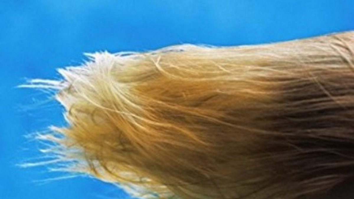 Michael Dweck – Mermaid – Nolden/H Fine Art