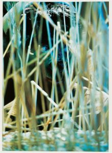Cindy Sherman: ‘Untitled (from: For Joseph Beuys)’, 1986, from the portfolio For Joseph Beuys, ektacolor photograph, 81,3 x 59,5 cm (32¾ x 23½ in.). Edition of 90 + XXX, signed and numbered.