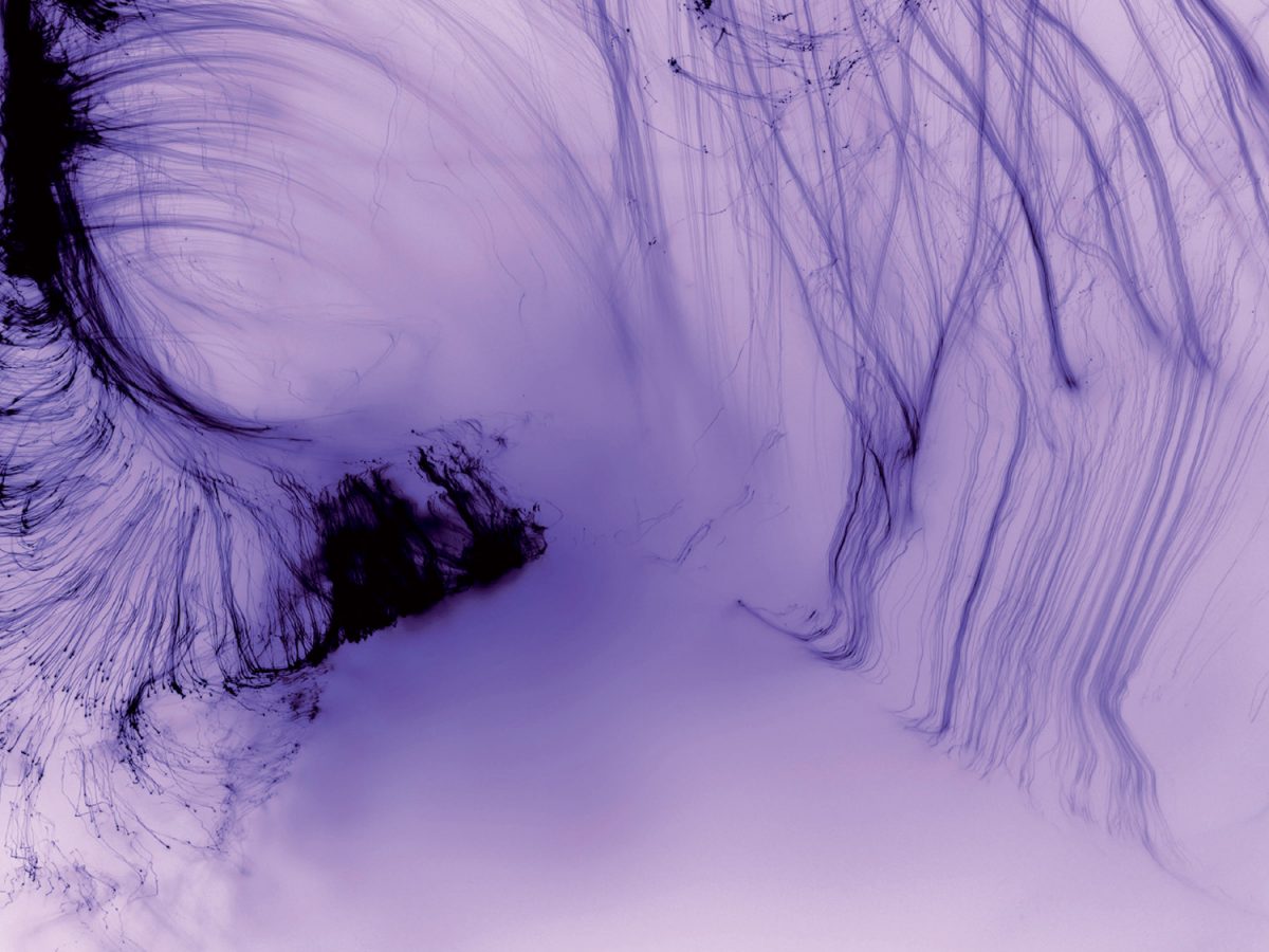 Wolfgang Tillmans – It's Only Love Give It Away – Nolden/H Fine Art