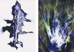 Katharina Grosse - Cokeypane (Portfolio with 4 lithographs), printed on 300 g. Velin d’Arches paper, edition of 50, signed and numbered, size each: 100 x 70 cm