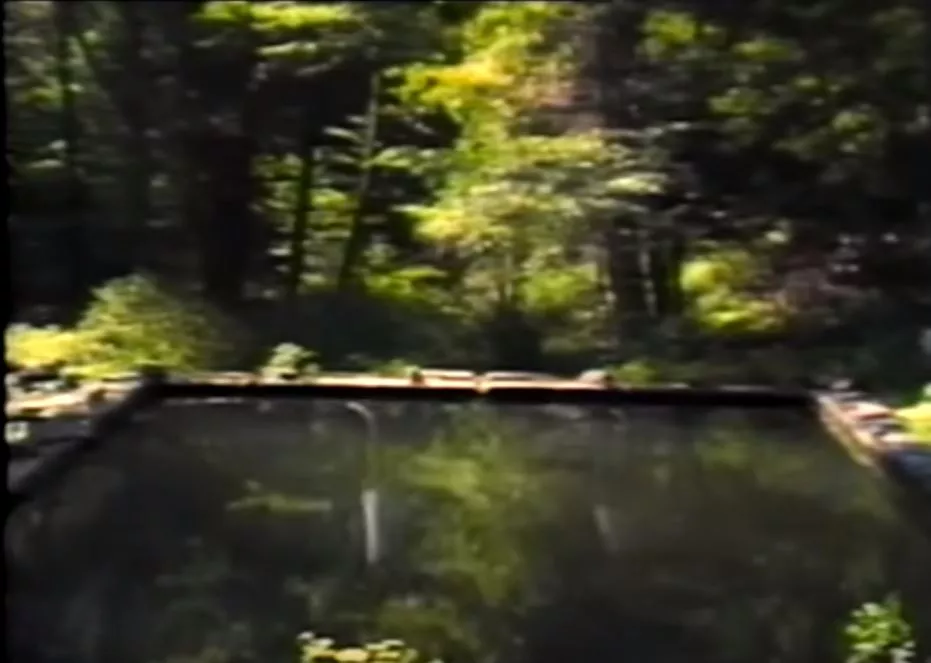 Bill Viola, The Reflecting Pool 1