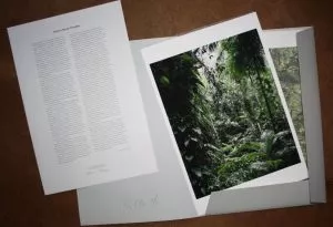 Thomas Struth, Paradise Portfolio