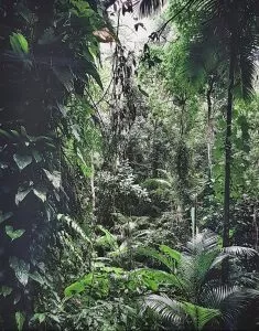 Thomas Struth: Sao Francisco de Xavier, 2004, pigmented inkjet print, signed by hand en verso, printed on Hahnemühle PhotoRag 308 g/qm, size: 32,9 x 48,3 cm / 30,7 x 39,0 cm, wooden frame: 46,5 x 54,5 cm. 
