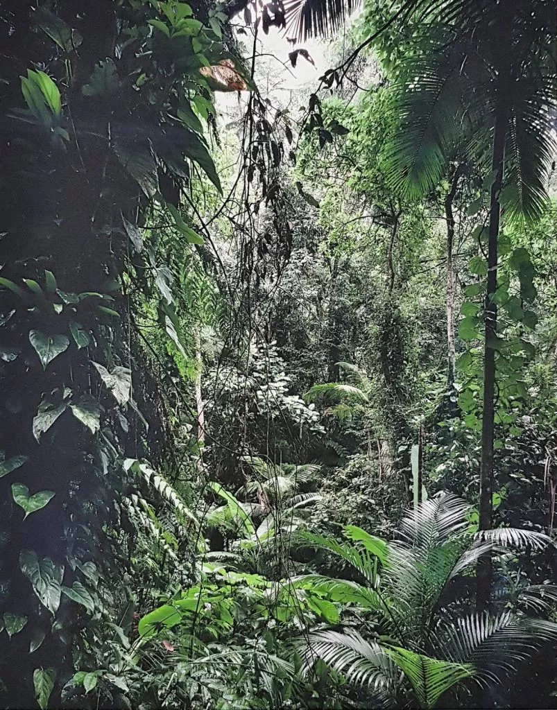 Thomas Struth: Sao Francisco de Xavier, 2004, pigmented inkjet print, signed by hand en verso, printed on Hahnemühle PhotoRag 308 g/qm, size: 32,9 x 48,3 cm / 30,7 x 39,0 cm, wooden frame: 46,5 x 54,5 cm. 