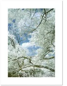 Thomas Ruff jpeg ti01 / 2005/12 farbiger C-Print / Photokarton, Auflage 100 + 20 A.P.-Exemplare, en verso signiert, nummeriert, datiert; 46,3 x 32 auf 57 x 42 cm.