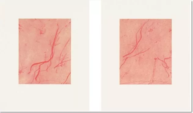 Rebecca Horn: 'Dancing Giraffe Tree', 1998, 2 x soft ground etchings on dyed transparent Japanese paper, collaged on Hahnemühle etching paper. Each print 50 x 40 cm (19¾ x 15¾ in.), each signed and numbered. Edition of 60. From the portolio Sequences.