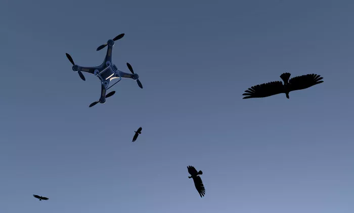 Rick Silva – unter freiem Himmel