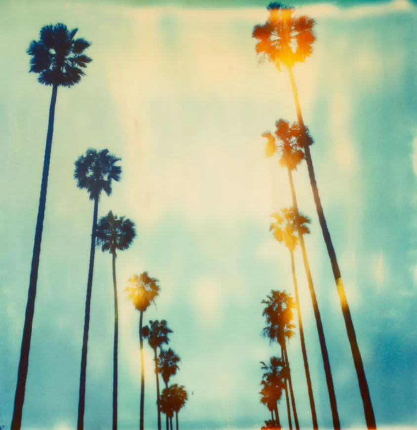 Stefanie Schneider – California Dreaming