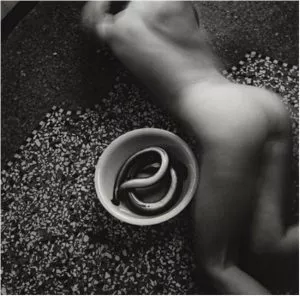 Francesca Woodman, Untitled, From the Eal Serie, 1979-1980 © George and Betty Woodman