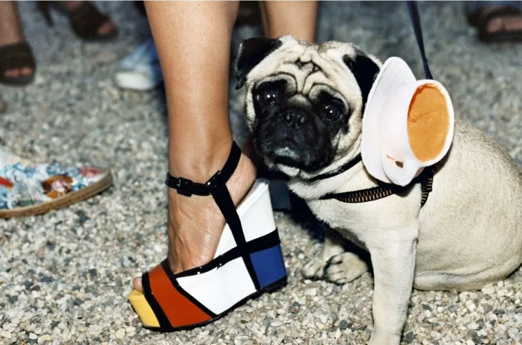 Jessica Craig.Martin 3