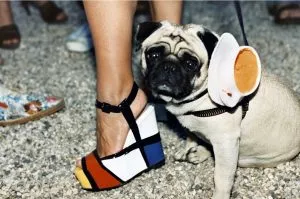 Jessica Craig.Martin 3