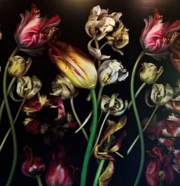 Luzia Simons – Ethereal Utopia of Beauty