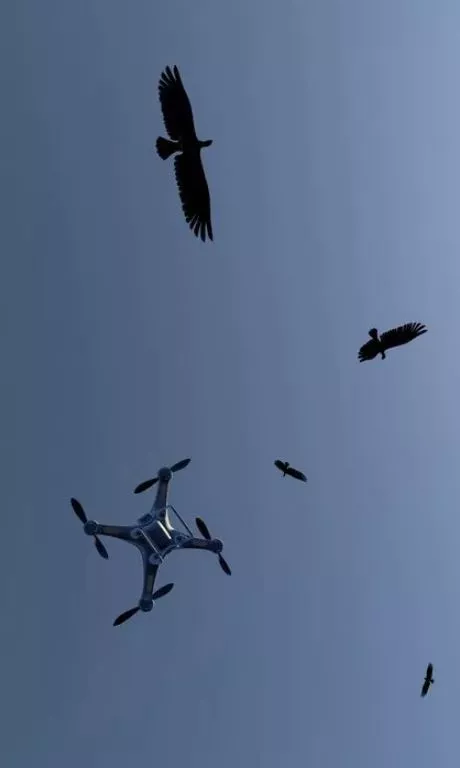 Rick Silva – Sky Burial