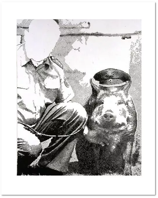SIGMAR POLKE Police Pig