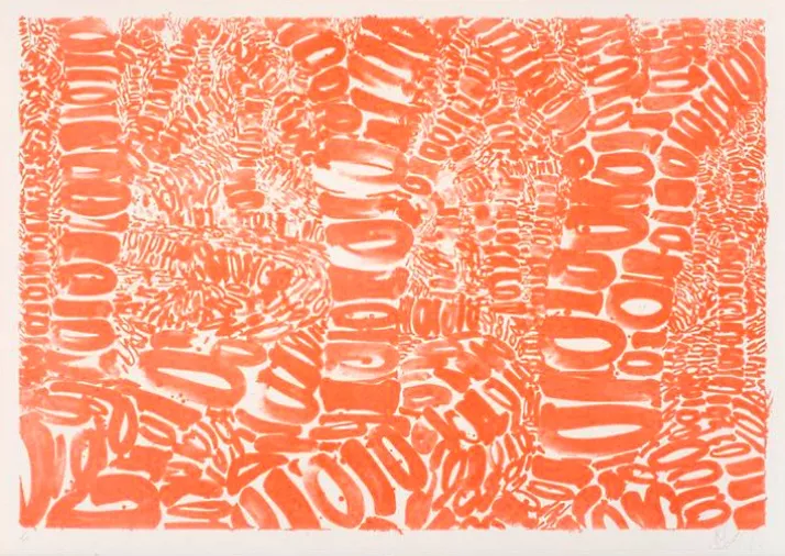 Anthony Cragg, Skogen, 2009, Lithographie, 70x100cm, © Anthony Cragg