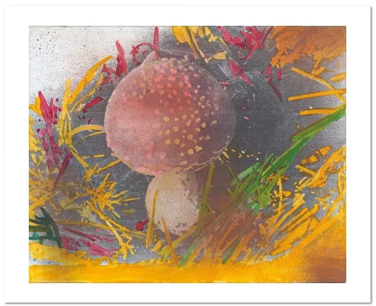 Sigpmar Ppolke Untitled Mushroom
