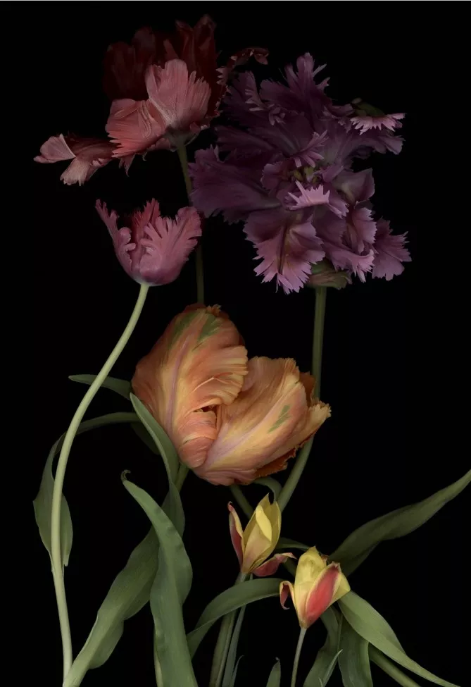 Luzia Simons, Stockage 148, 2014 Pigment print on Archival paper 140 x 100 cm Edition of 6 + 2 AP