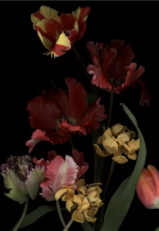 Luzia Simons, Stockage 147, 2014 Pigment print on Archival paper 193 x 121 cm Edition of 6 + 2 AP