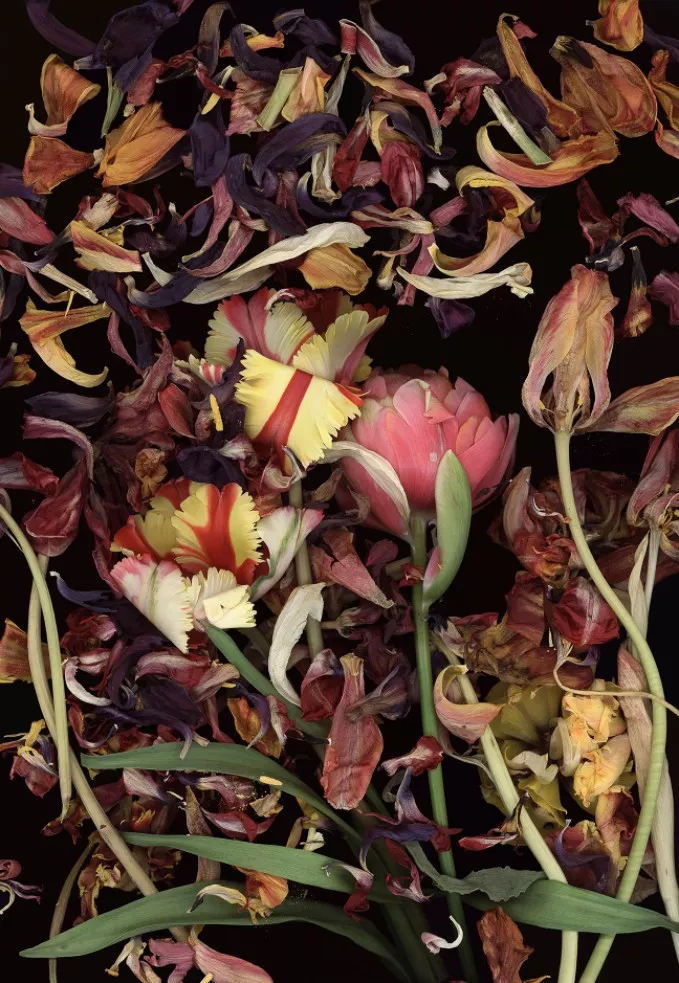 Luzia Simons Stockage 124_01 - 1/5, 2011 Pigmentprint, Büttenpapier, Museumsglas 177 × 122 cm verso signiert und datiert und nummeriert Auflage: 5 Exemplare