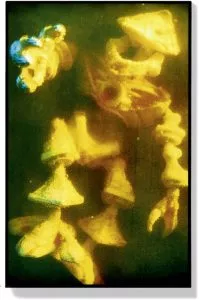 Cindy Sherman: ‘Untitled`, 1993, Light box with transparency, 155 x 100 x 8,5 cm (61 x 39½ x 3¼ in.), signed and numbered. Edition of 15