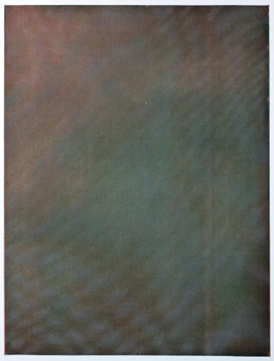 Tauba Auerbach Mesh Moire II