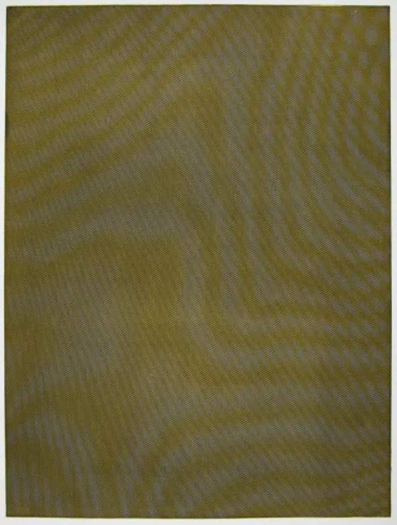 Tauba Auerbach Mesh Moire III