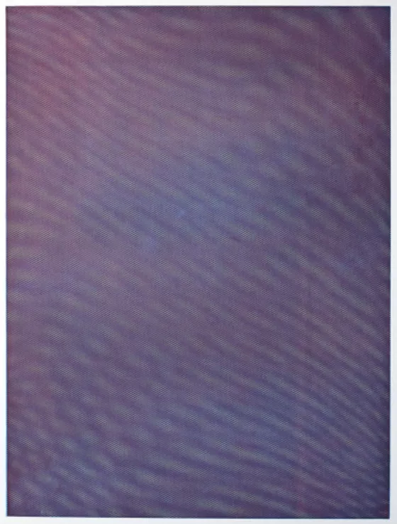 Tauba Auerbach Mesh Moire IV