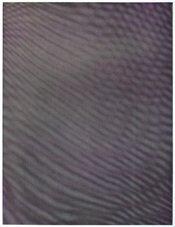 Tauba Auerbach Mesh Moire V