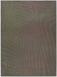 Tauba Auerbach: ‘Mesh Moire VI’, 2012, color softground etching on Somerset white paper, image size 31¾” x 23¾”, paper size 40¼” x 30″, edition of 40.