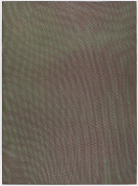 Tauba Auerbach Mesh Moire VI