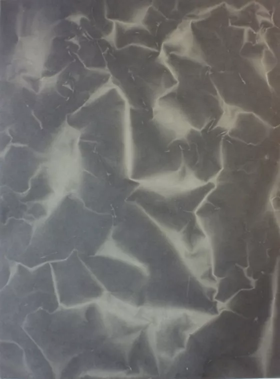 Tauba Auerbach Plate Distortion II