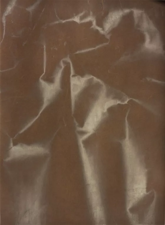 Tauba Auerbach Plate Distortion III