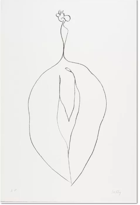 Ellsworth Kelly Algue