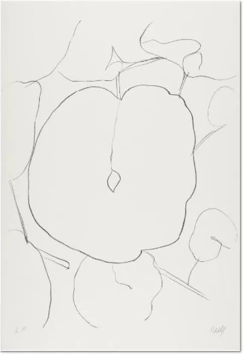 Ellsworth Kelly Melon Leaf