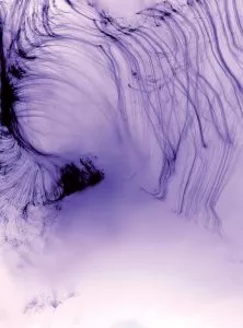 Wolfgang Tillmans Its Only Love 3