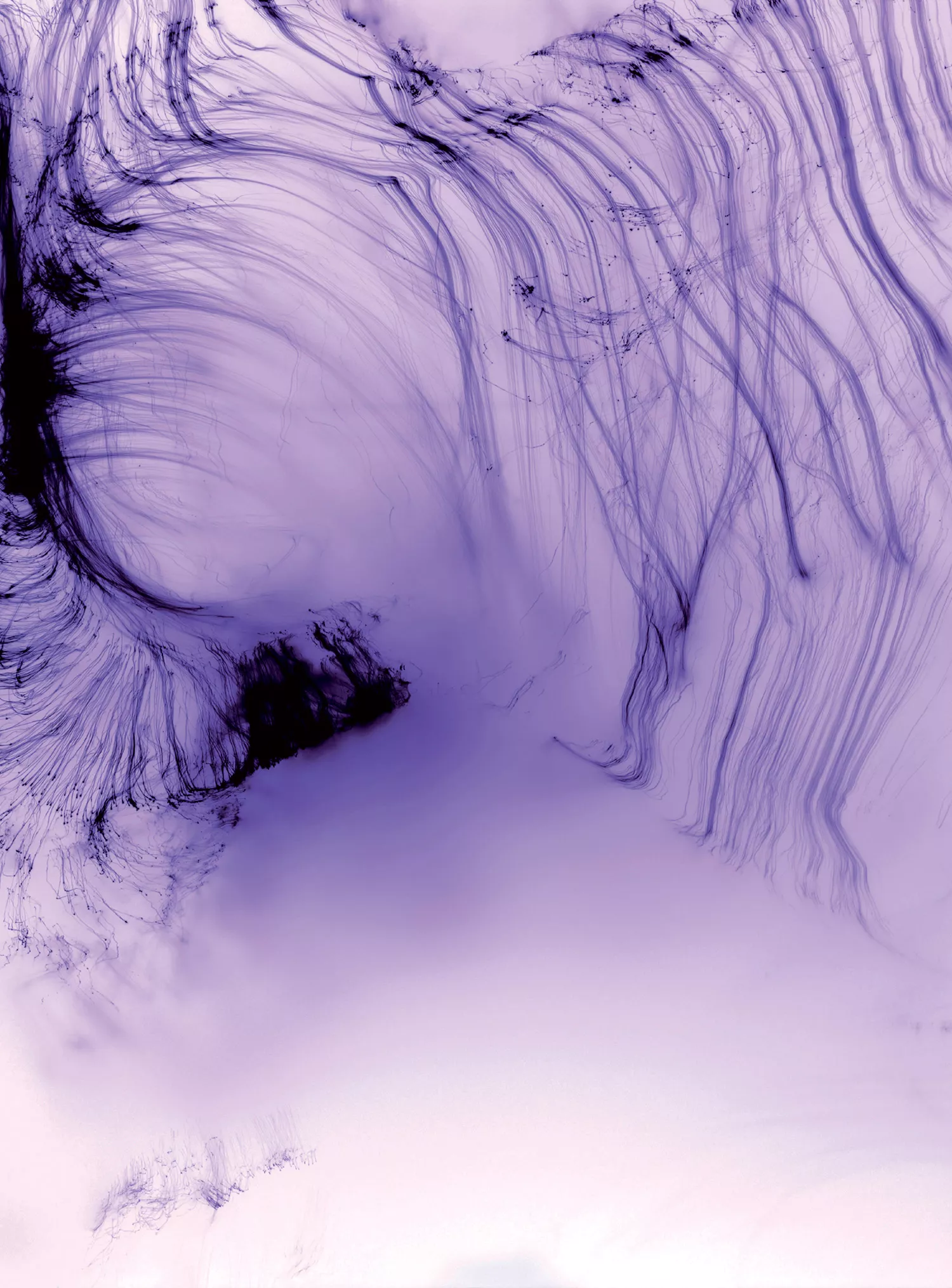 Wolfgang Tillmans – It’s Only Love Give It Away