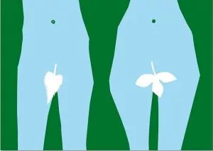 Rosemarie Trockel Portfolio 2