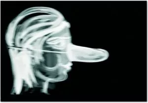 Rosemarie Trockel Portfolio 6